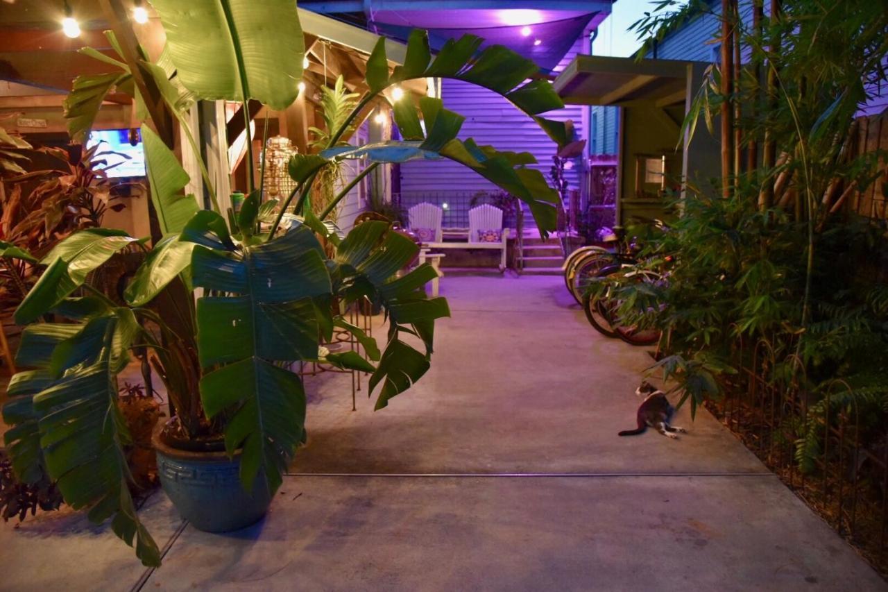 The Dragonfly Treme Guest House 뉴올리언스 외부 사진