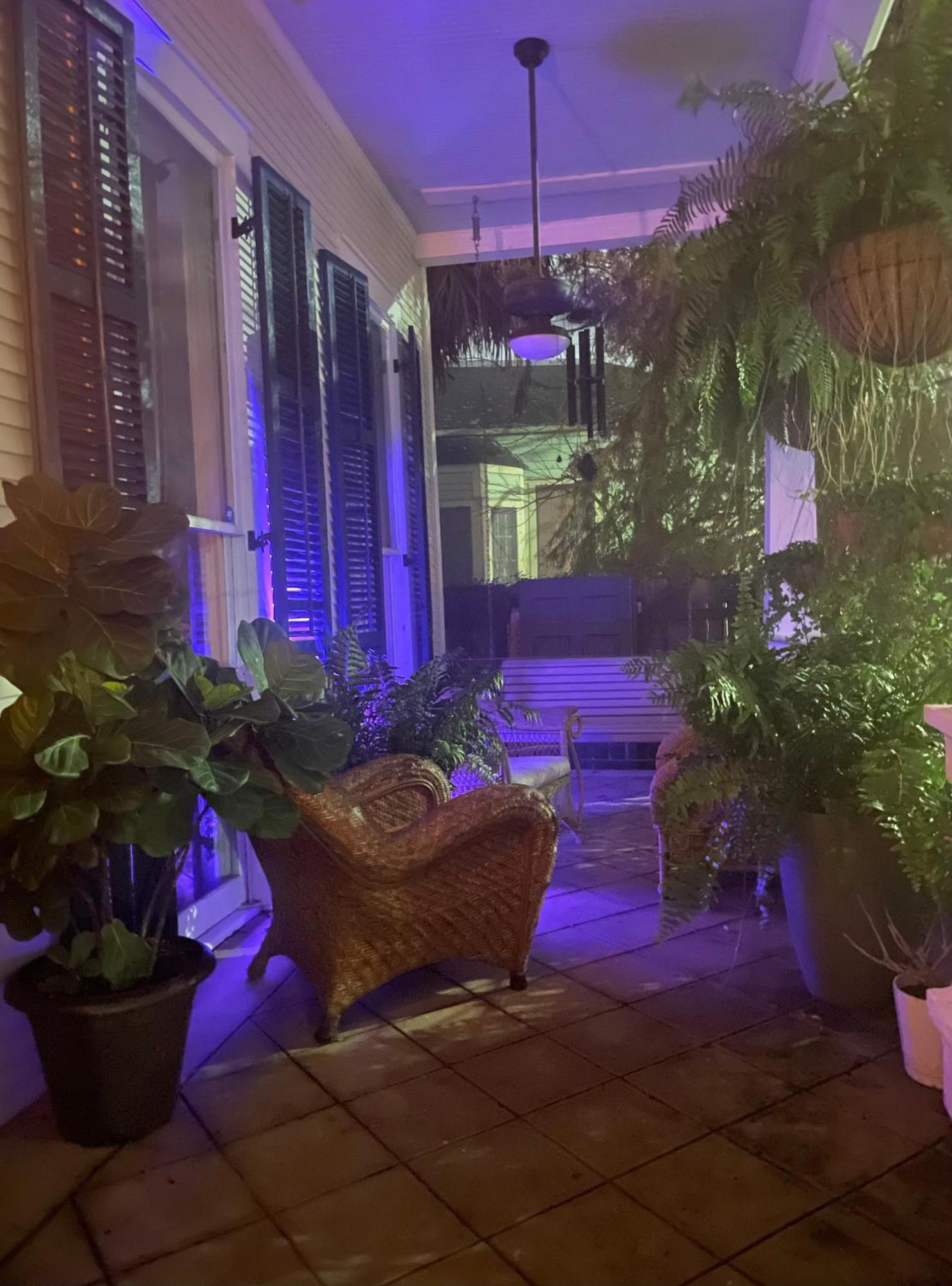 The Dragonfly Treme Guest House 뉴올리언스 외부 사진