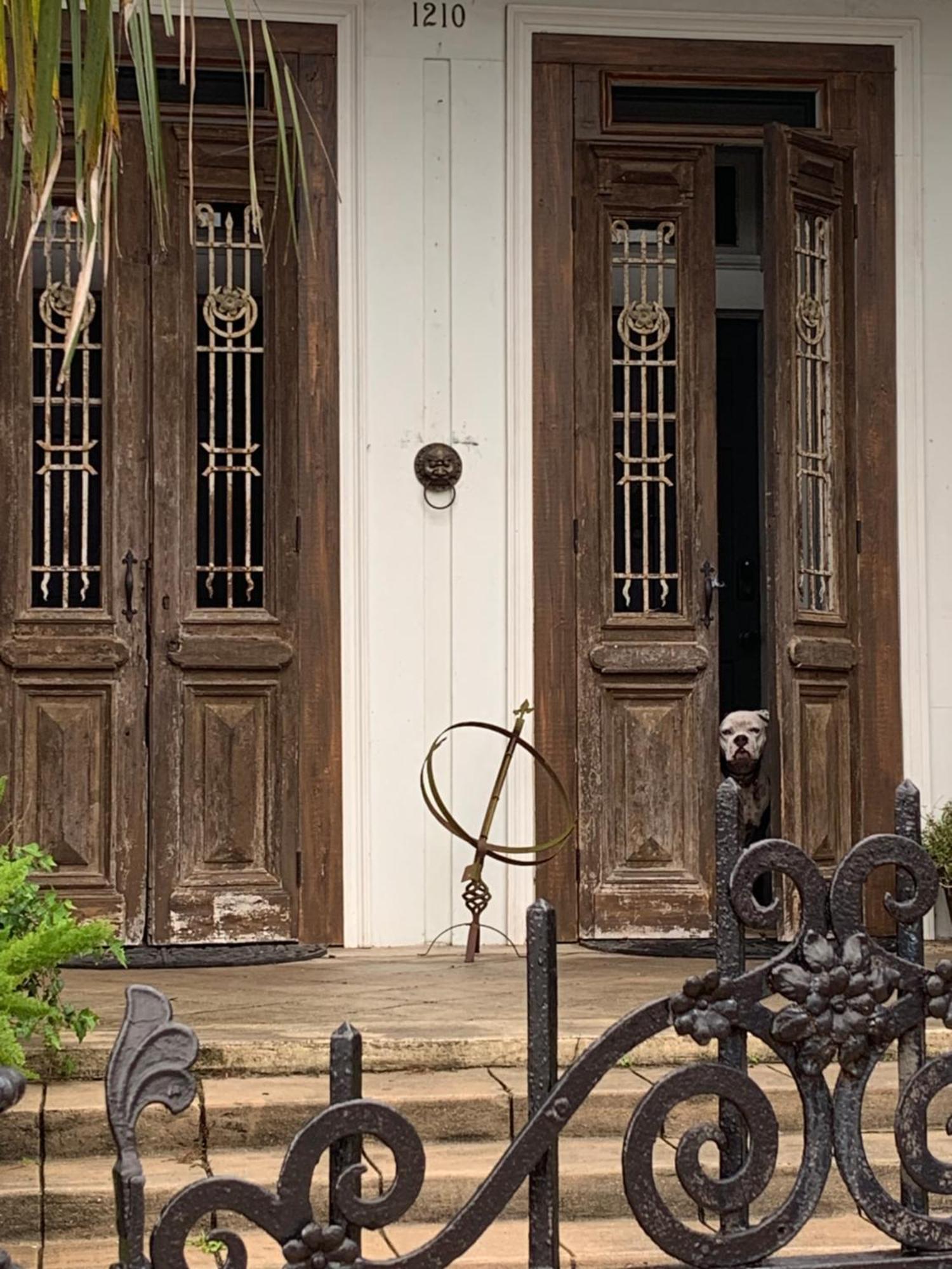 The Dragonfly Treme Guest House 뉴올리언스 외부 사진