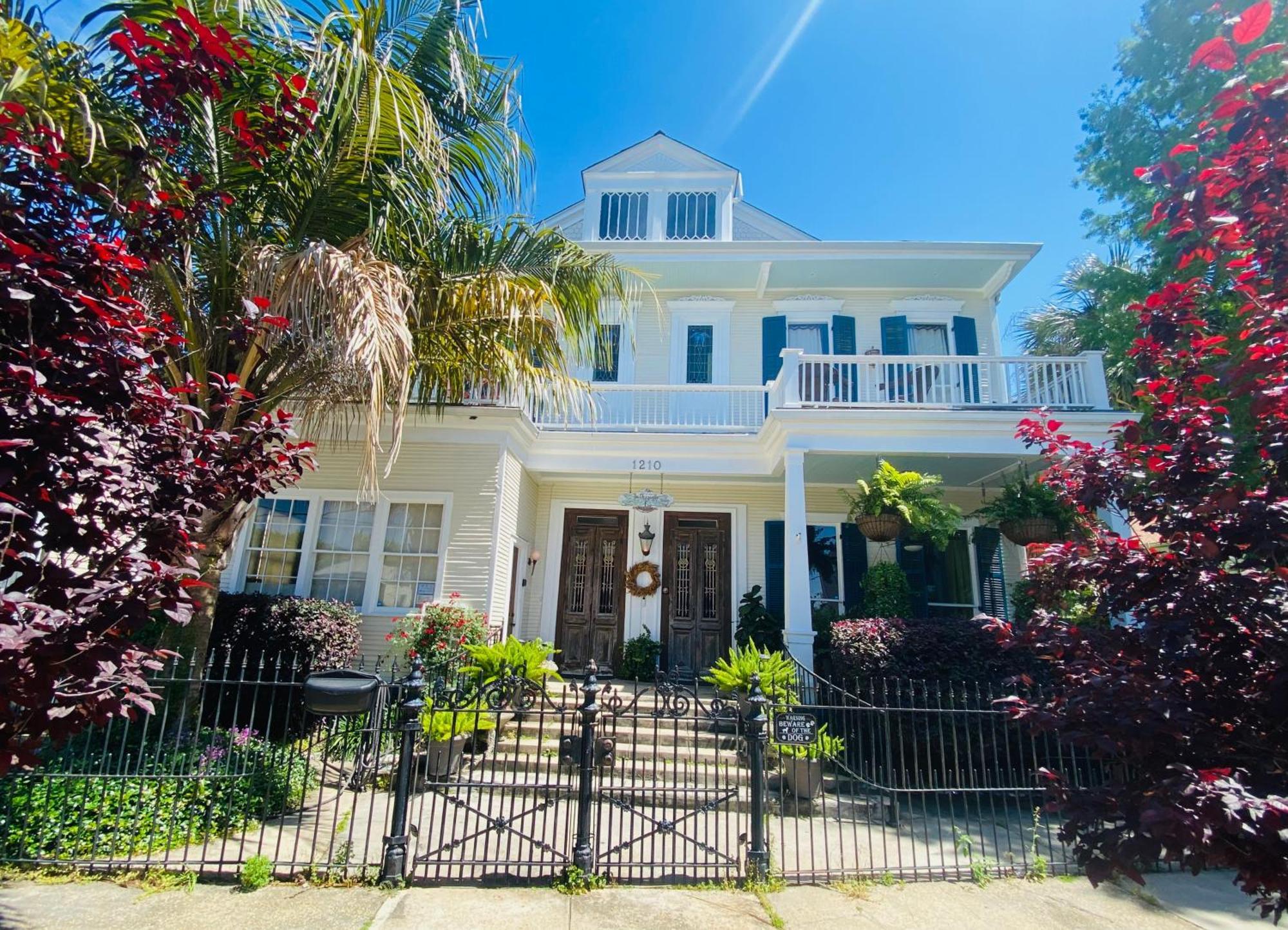 The Dragonfly Treme Guest House 뉴올리언스 외부 사진
